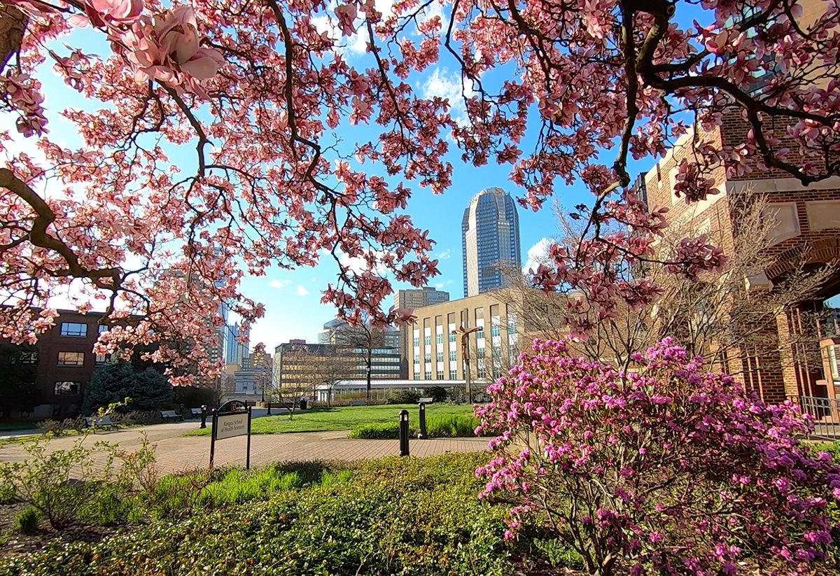 Duquesne in spring