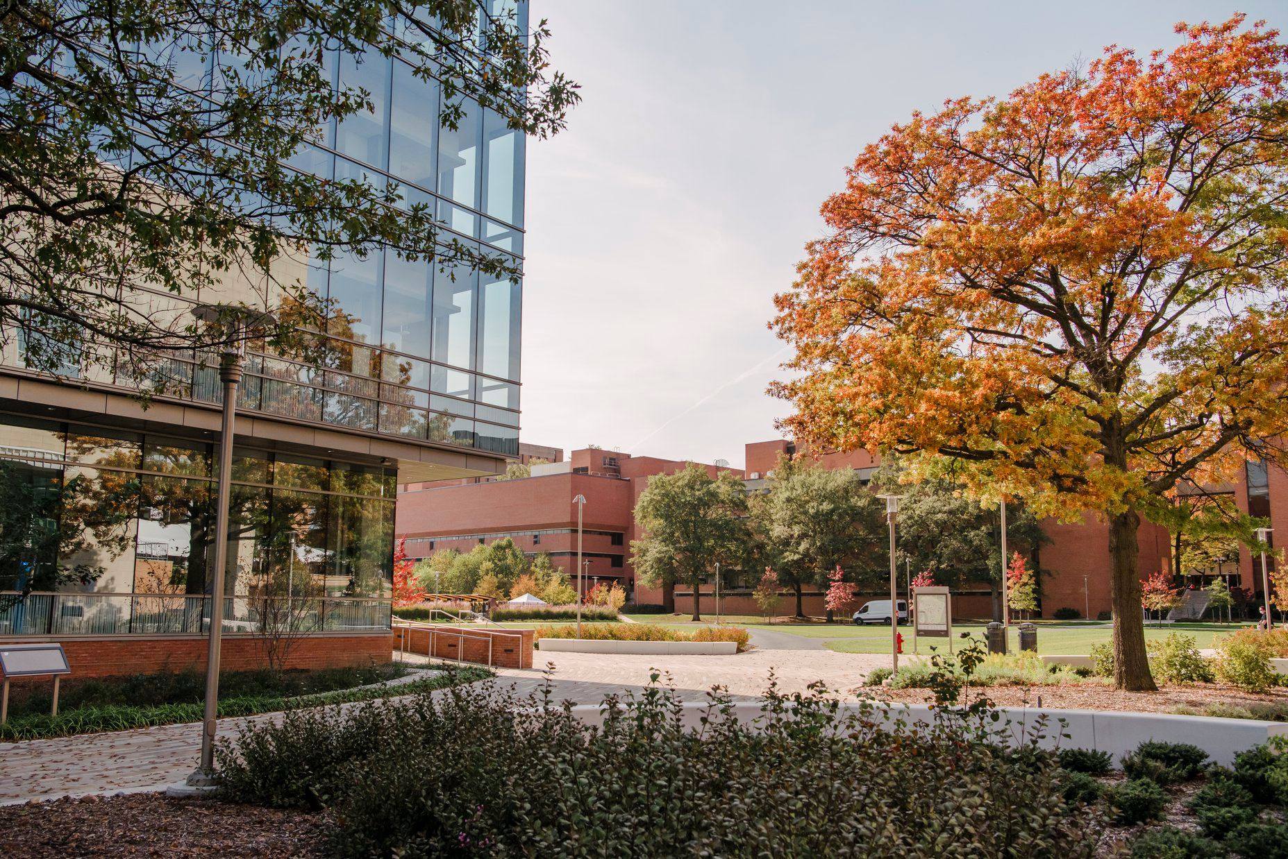 UMBC campus