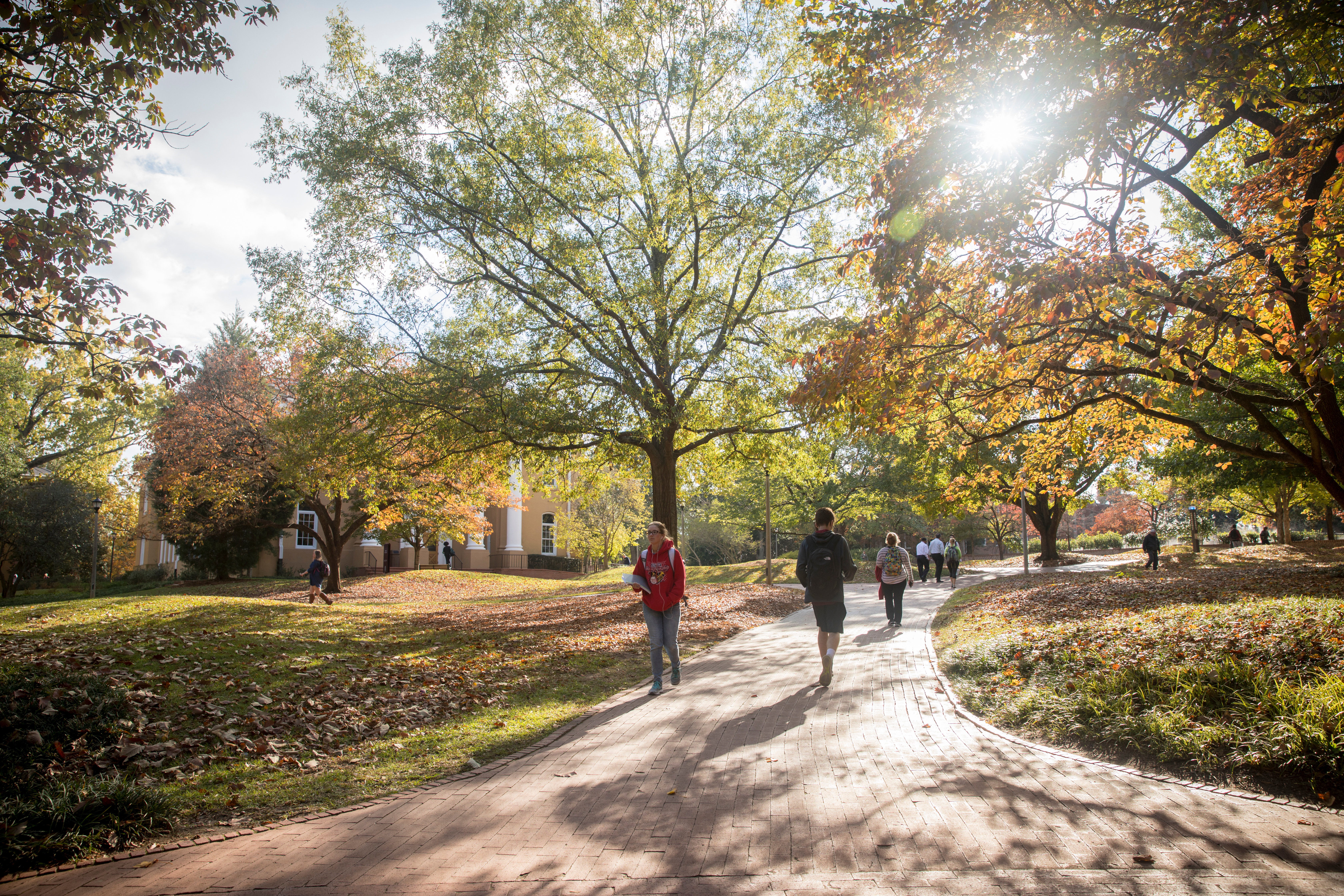 University of South Carolina campus